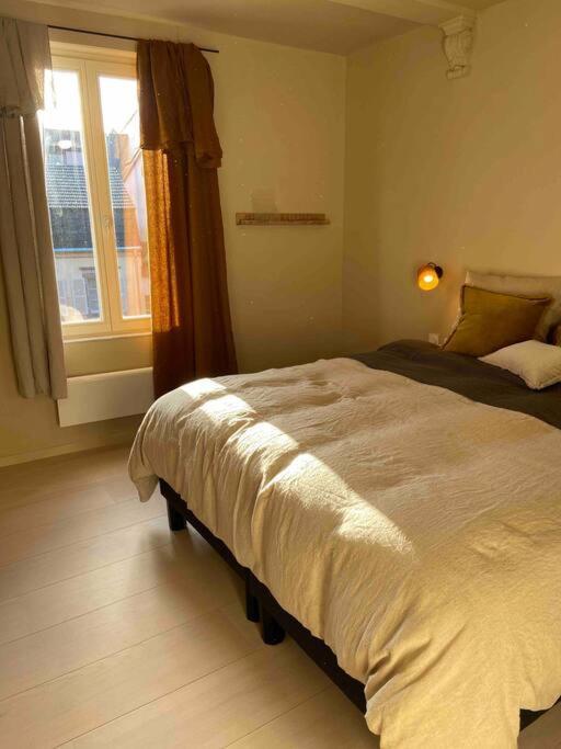 Suites Du Trefle Colmar Exteriér fotografie